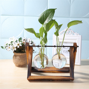 Creative Simple Style Glass Wood Plant Vase Home Decorative Planter