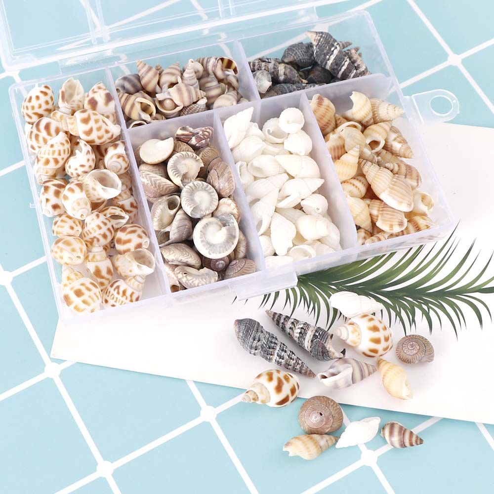 About 100Pcs/Box Natural Conch Shells Mini Conch Corn Screw Wall Decoration DIY Aquarium Landscape Seashells Crafts/party Decor